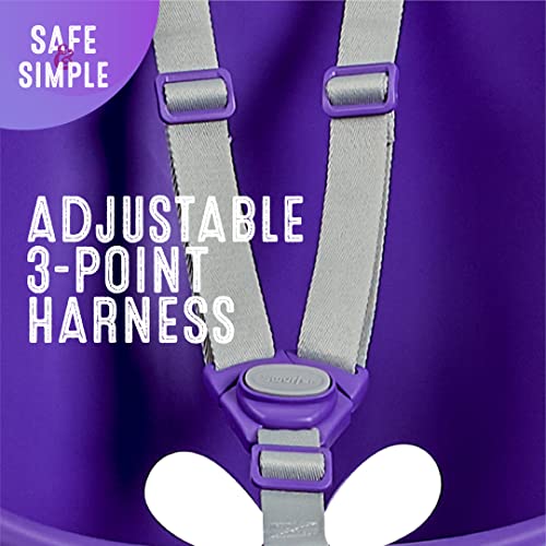 Image of Swurfer Coconut Toddler Swing - Comfy Baby Swing Outdoor, 3- Point Adjustable Safety Harness, Secure, Safe Quick Click Locking System, Blister-Free Rope, Easy Installation, Ages 9 M and Up, Plp Purple