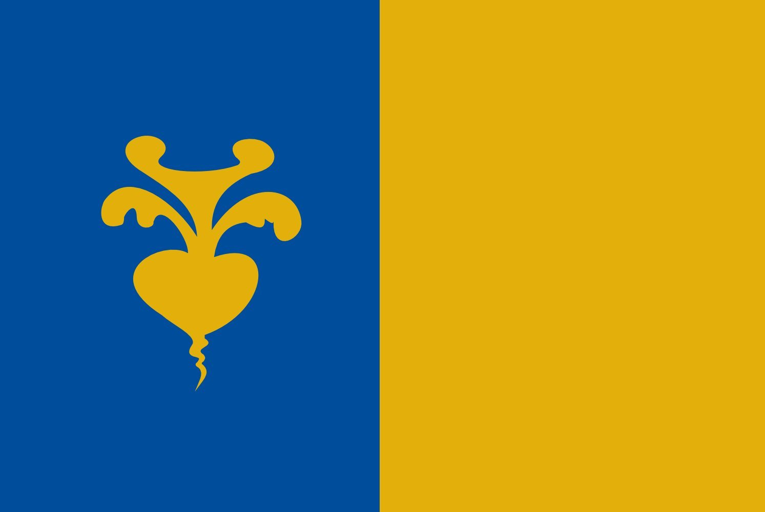 Drapeau Large Sint-Niklaas vlag pour remplacer un pavillon usé par le vent