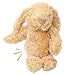 SPOT Cuddle Bunnies Dog Toy - Soft, Plush Fabric Dog Toy with Squeaker, Perfect for Cuddling, Great for Dogs and Puppies of All Ages, Medium to Large Breeds - 13