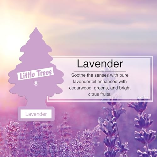 Image of Little Trees Lavender Air Freshener | Calming Herbal Fragrance | Iconic Tree Hanging Design | For Car, Home, Wardrobe | Imported from USA