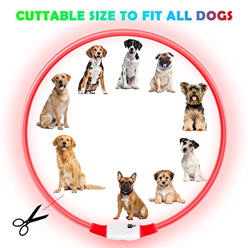 AUAUY LED Light Up Dog Collar - Image 2