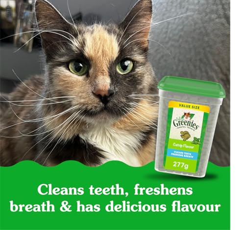 GREENIES Feline Cat Treats Natural Dental Care, Catnip Flavour, 9.75oz. Tub image 6
