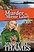 Murder at Mirror Lake: A Jillian Bradley Mystery, Book 9