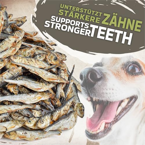 Getrocknete Sprotten für Hunde 1 kg (ca. 190–210 Stück) | 100% Fisch | natürlicher Kauartikel & Barf-Snack | reich an Omega-3 & Omega-6 | ohne Zusatzstoffe