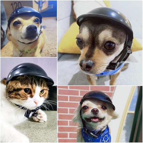 Enjoying Hundehelm Klein, Motorradhelm für Hunde Extra Klein, Hart Hundehüte Katzenmütze, Reiten im Freien, Verstellbar Haustierhut, Schwarz S