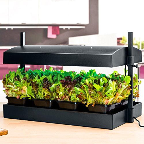 Preisvergleich Produktbild Anzucht-Station Lichtgarten