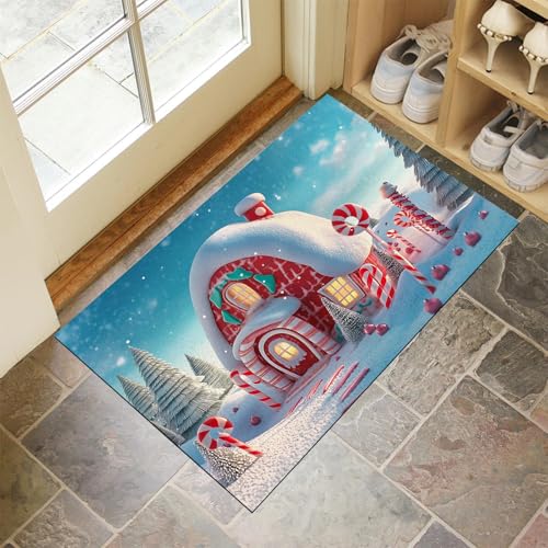 Tapis de porte robuste antidérapant et imperméable 90x150 - 2