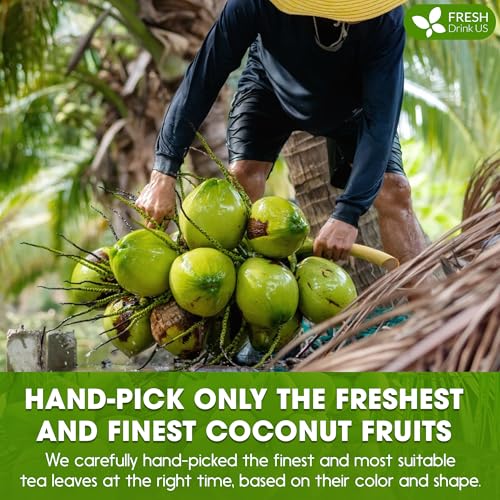 Image of FreshDrinkUS, Premium Coconut Milk Powder 16oz, Creamy & Rich Coconut Flavor, Great for Cooking, Baking, Smoothies & Drinks - Pure, Premium Quality, Gluten-Free, Dairy-Free, Vegan-Friendly