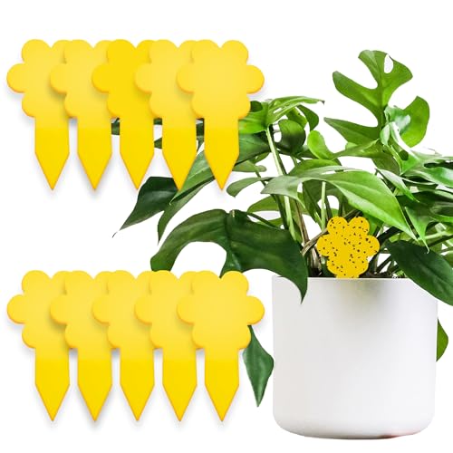 Super Ninja Anti Moucherons Interieur – 10 Pièges – Attrape Mouche De Plantes - écologique – Tres Efficace - Utilisation Facile - Jusqu'à 3 Mois par Piege (10 Pièges)