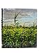 The Great Fen (Wildlife Art Series)