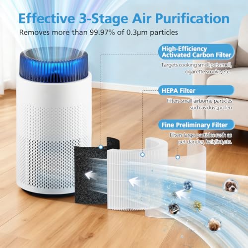 Image of 2 Pack Airmega 100 Replacement Filter Compatible with Coway Airmega 100 Air Purifier, 3-IN-1 Certified HEPA & Activated Carbon with Deodorization Filter