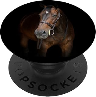 Night Horse | Equestrian Mare Cowboy Cowgirl Western