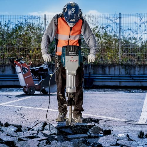 Bosch Professional 1618601011 Burin asphalte 28 mm queue 6 pans 500 x 125 mm Gris