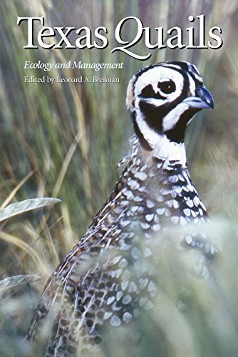 Texas Quails: Ecology and Management (Perspectives on South Texas, sponsored by Texas A&M University-Kingsville)