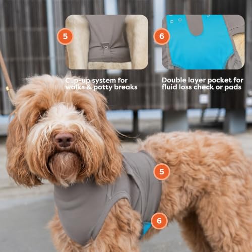 Image of Suitical - The Original Dog Surgery Recovery Suit - Replace E-Collar & Cone - Spay, Neuter, Wounds, Prevent Licking - XLarge Neck to Tail 29.1-32.3in - Chest 34-44.5in - Weight 68-80lbs Sandstone Grey