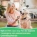 HylMed HA caps Dog, 17-in-1 Nährstoff-Komplex mit Hyaluronsäure, Kollagen und 15 weiteren Nährstoffen zur Unterstützung der Gelenke und der Bewegungsfreude des Hundes für bis zu 60 Tage