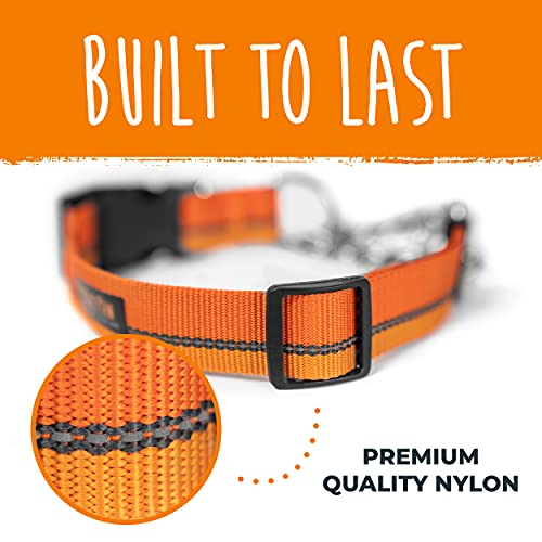 Mighty Paw Martingale Dog Collar 2.0 | Trainer Approved Limited Slip Collar With Stainless Steel Chain & Heavy Duty Buckle. Modified Cinch Collar For Gentle & Effective Pet Training (Orange) #TOP5