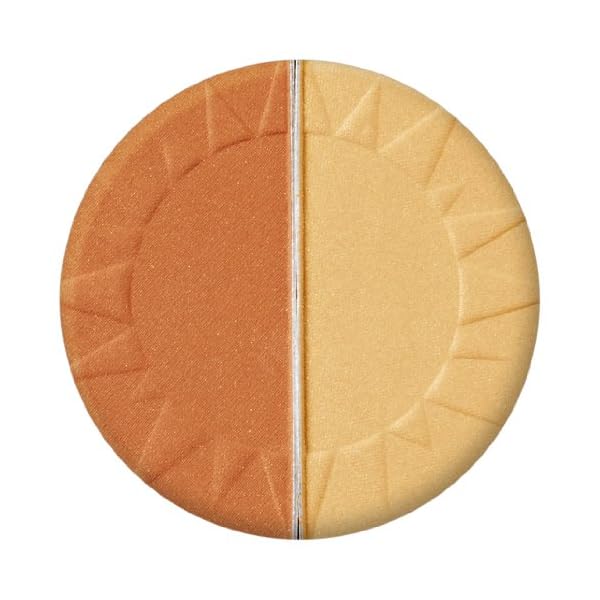 New York Color Sun 2 Sun Bronzing Powder, Bronze Gold, 0.22 Ounce