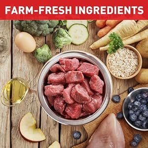   PURPOSE-Freeze-Dried-Dog-Food-Beef-Veggie-Patties-Entree-14-oz-High-Protein-Locally-Sourced-All-Natural-Convenient-Raw-Diet-for-All-Life-Stages