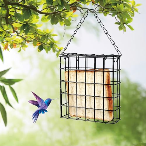 SUQ I OME Outdoor Wild Bird Feeder, Black Small Hanging with Metal, Single Suet Cake Style for Outside Office (Square) - Image 5