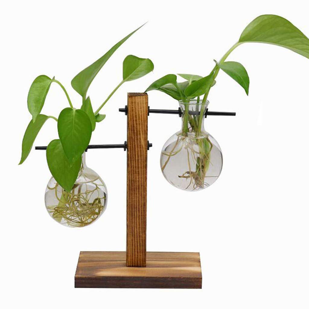 Hydroponic Vase Vintage Desktop Plant Terrarium Planter Bulb Vase Water Planting Propagation Glass Vase