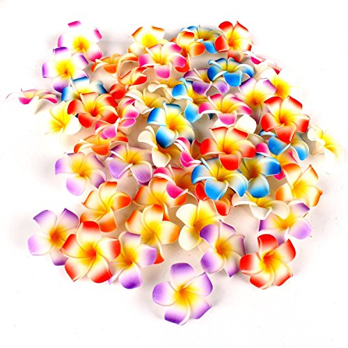 Ewanda Store 100 Pcs Diameter 1.6 Inch Artificial Plumeria Rubra Hawaiian Foam Frangipani Flower Petals For Weddings Party Decoration(Red) #TOP2
