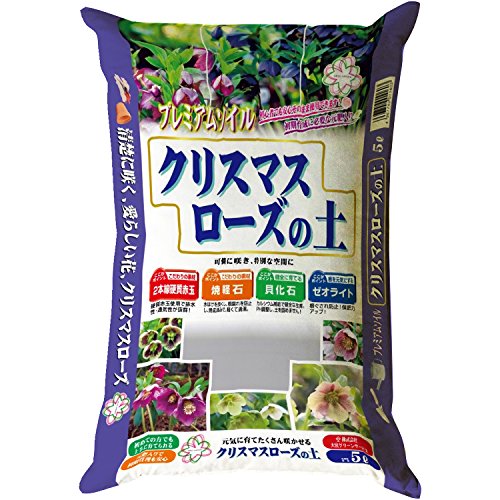 {O[T[rX NX}X[Y̓y 5L