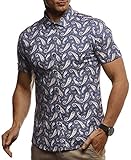 Leif Nelson Herren Hemd Kurzarm Sommer T-Shirt Kentkragen Stylisches Männer Freizeithemd Slim Fit Stretch Kurzarmhemd Jungen Basic Shirt Freizeit Sweater Kurzarmshirt Beach Strand LN3830,Blau-beige,M