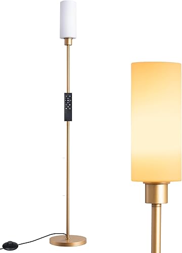 EDISHINE Lámpara de pie LED de esquina con pantalla de cristal, moderna lámpara regulable con control remoto, 5 CCT, luz de pie de 65 pulgadas de disponible en Yaxa Costa Rica