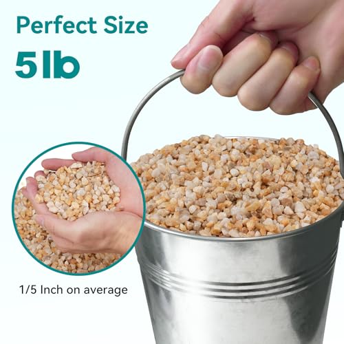Image of 5 lbs Coarse Sand for Plants, 1 /5 Inch Horticultural Sand for Vases, Aquariums, Terrarium, Fish Tank, Drainage Rocks for Potted Plants, Bamboo, Succulent, Crafts, Cactus