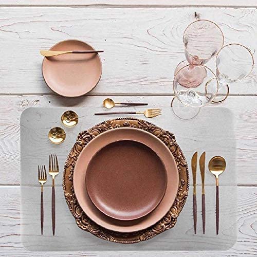 Yoleshy 6 Pcs Plastic Placemats, Heat Resistant Washable Table Mats For Dining, Kitchen (17'' X 11'') #TOP1