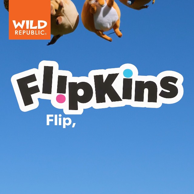 Amazon.com: Wild Republic Flipkins Red Fox Stuffed Animal - 5