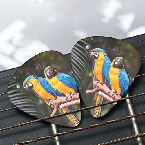 Médiators Guitare 12-Pack Perroquets Médiators Guitare Électrique Guitare Acoustique Diverses Guitares - Les Beatles, Paul McCartney, John Lennon, RIngo Starr, George Harrison Médiators Guitare 12-Pack Perroquets Médiators Guitare Électrique Guitare Acoustique Diverses Guitares – Image 7
