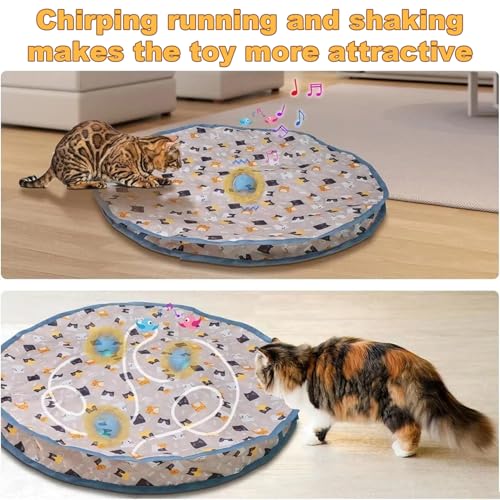 Cat Hide and Seek tapis jeu chat souris interactif motorisé - 6