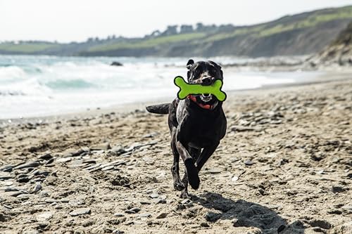 Mountain Paws Rubber Bone Dog Toy, Green - Image 4