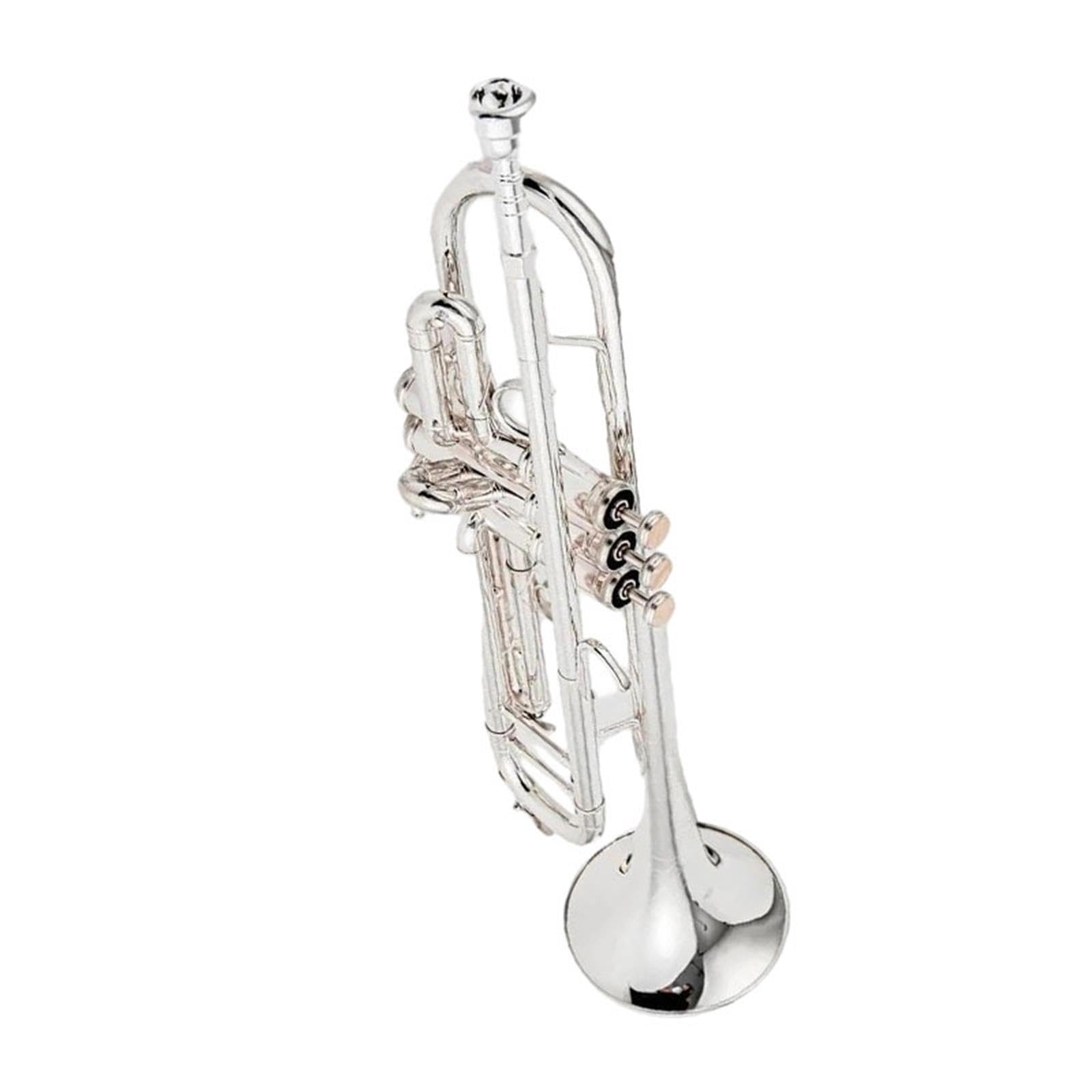 Silberne Trompete Mit Koffer Standard-Trompeten-Set