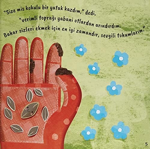 Küçük Ayçiçeği - Görsel 7