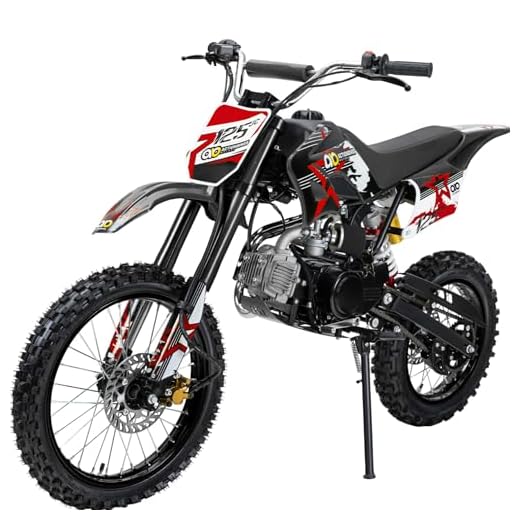 Actionbikes Motors Midi Kinder Jugend Crossbike JC125 125 cc - Hydraulische Scheibenbremsen - CDI Zündung - Bis 80 Km/h (Schwarz)