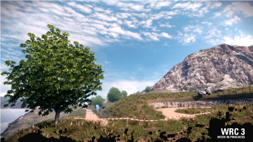 WRC 3 : FIA World Rally Championship