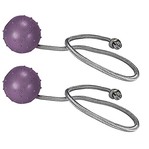 big buddy Perros Balón de Fútbol Caucho Lanzamiento Cuerda Diámetro 2 x Mauve