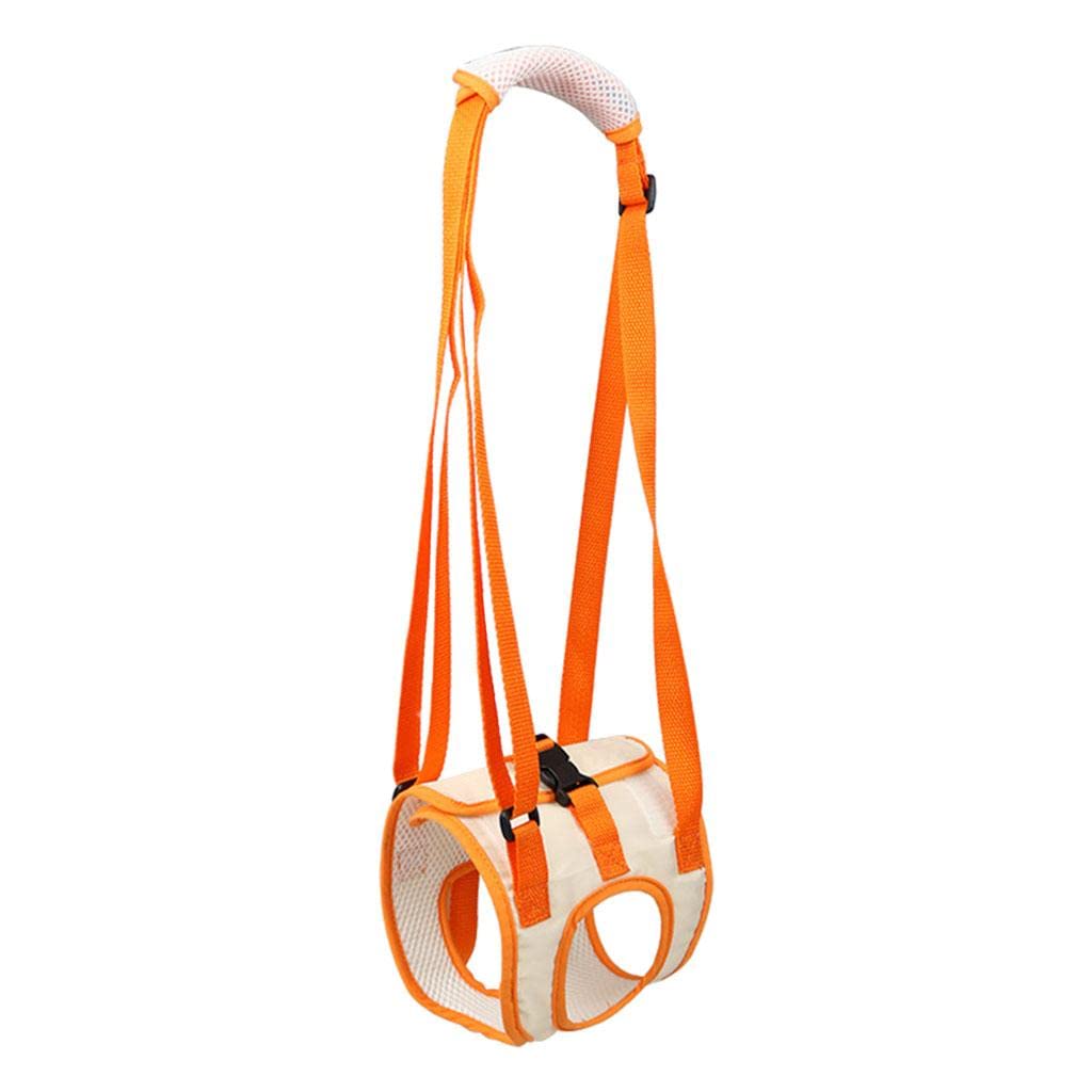 LOOM TREE® Dog Lifting Harness Rear Legs Sling Front Back Leg Support Harness Strap XL|Harnesses (B0B296LV4H) Amazon Price History, Amazon Price Tracker
