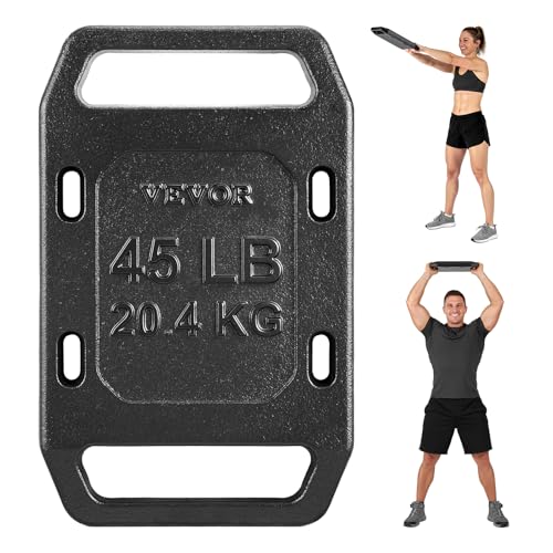VEVOR Cast Iron Ruck Weights for Backpack 45LB Single Ruck Plate Weight Plate with Smooth Handle Textured Finish for Rucking Hiking Swings Strength Training Weightlifting Fitness Workout