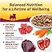 Wellness Petite Entrees Mini Fillets Grain Free Natural Wet Small Breed Dog Food, Roasted Beef, Carrots & Red Peppers, 3-Ounce Cup (Pack of 24)