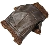Hunde-Winter-Ledermantel, Hunde-Lederjacke, Warm für den Winter, für Draußen, für Kleine, Mittelgroße Hunde, für Katzen (S)