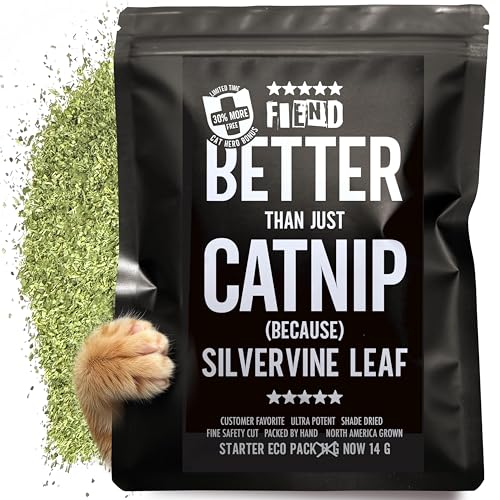 Catnip + Silvervine Enhanced with Kind Silver Vine - Small .4 Cup (14g) Starter Pack Safety-Cut Ultra Potent North American Premium Fine Cat Nip Blend for Cats Kittens Go Ahead Create a Monster!