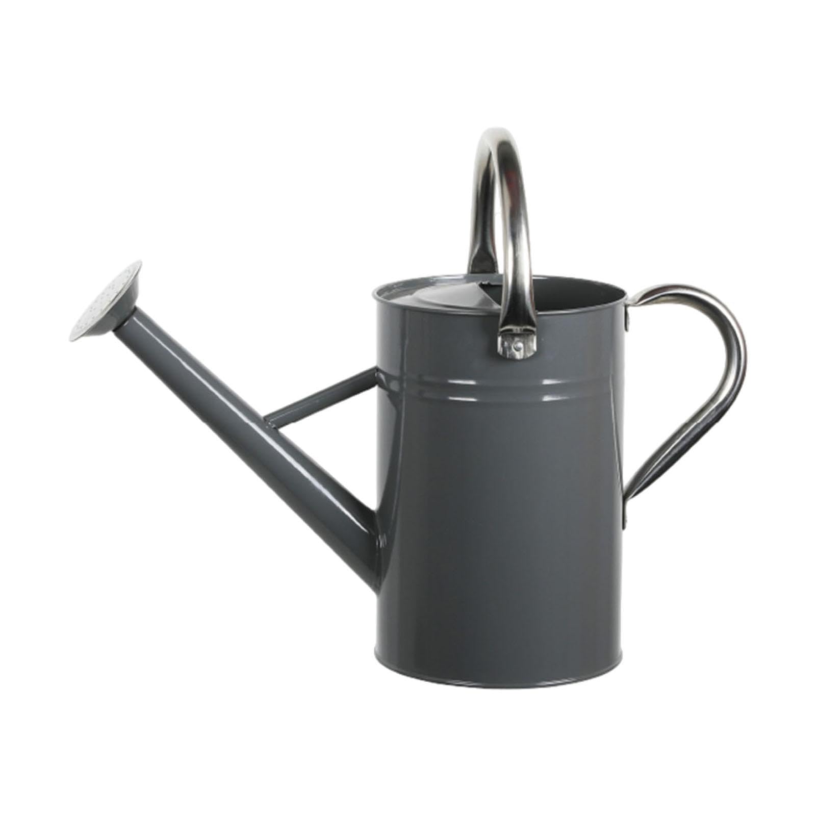 Generic Gießkanne Aus Metall mit Abnehmbarem Ausguss, Rostfrei, Komfortabler Griff, Großes Fassungsvermögen, Auslaufsicher, Kraftsparend, Feiner Sprü, Grau