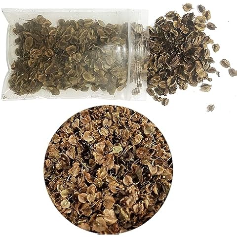 Cayway Realistic Miniature Leaves for DIY Scenery Cover