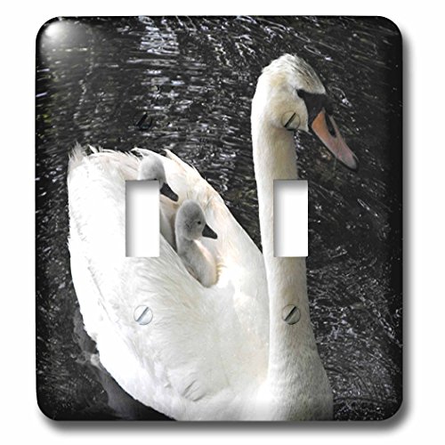 Interrupteur double cygne interrupteur à bascule double décoration - 2
