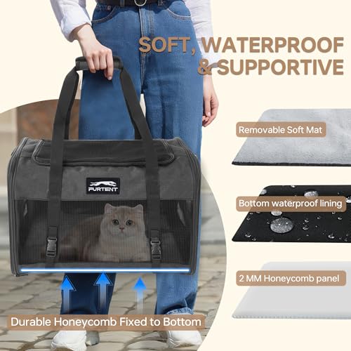 Pet Carrier for Large Cats 25 lbs, Mesh Pets Travel Carriers for Puppy Two Small Cats Rabbits with Shoulder Strap & Removable Mat, Portable Collapsible Puppy Crate Indoor and Outdoor, Black — view 3