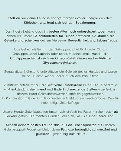 Lucky Pets Gelenktabletten für Hunde 200 Tabletten – Hochdosiert mit Grünlippmuschel, Teufelskralle, MSM und Glucosamin – Unterstützung für Gelenke und Knorpel – Deutscher Hersteller